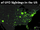 Modern Sightings