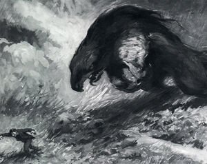 Mystery sloth18.jpg