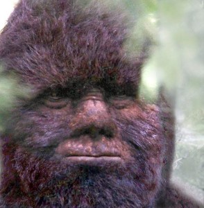 Todd Standing Bigfoot footage | Cryptid Wiki | Fandom