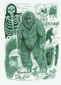 Bigfoot Encounters in Ohio: Quest for the Grassman