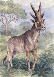 628b366949c8de8a8ab633785ae557c2