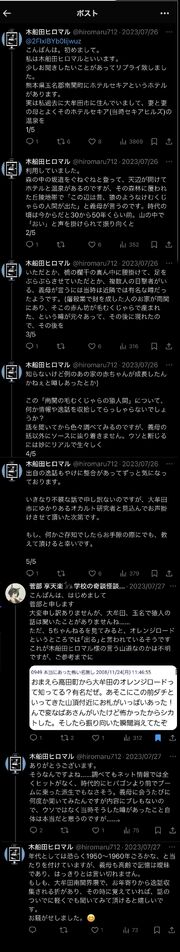 Hairy Ape Human of Nankan