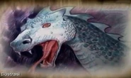 Ular kuda gua Sipatahunan3.jpg (62 KB) Illustration of horse-like head