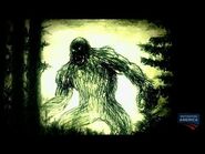 Sasquatch