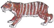 Illustration of the Ennedi tiger by an unknown artist.