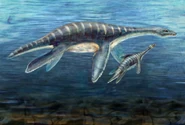 Plesiosaur image National-Science-Foundation