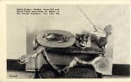 other creatures on display at the "FRIENDLY BUCKHORN" note the mounted Dingbat