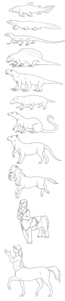 Origin Evolution of Centaurs 2.