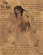 Ta-awi