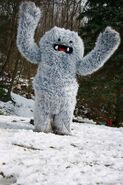 Yeti!!!!