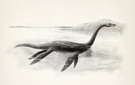 Champ (Lake Champlain)