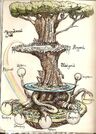Yggdrasil.jpg
