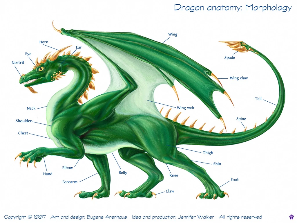 Dragon Cryptid Wiki Fandom