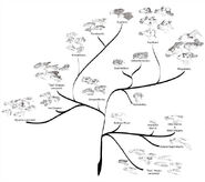 A hypothetical dragon phylogenetic tree