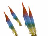 Abyssal Rainbow Gar
