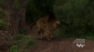 The Nandi bear as portrayed on Destination Truth