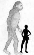 Size Comparsion between the creature and an adult human.