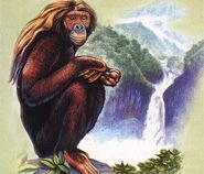 Artist's depiction of Orang-Pendek