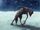 Skin-walker
