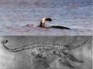 If the photo is real