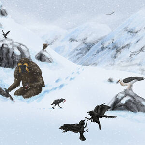 Yeti Cryptid Wiki Fandom