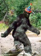 Bigfoot-0