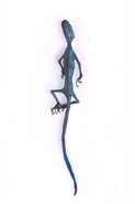 Blue Tail (364×180mm) Found in Argos, Greece in 2000.