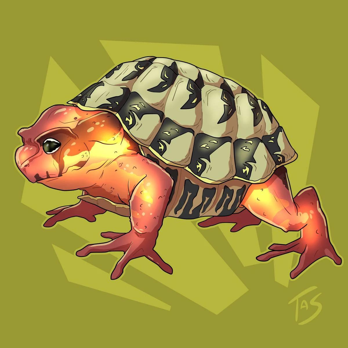 Sapo fuerzo | Cryptid Wiki | Fandom