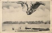 Dingbat in Flight