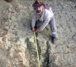 Paleontologist Sebastian Apesteguia next to a newly discovered dinosaur footprint in Bolivia.
