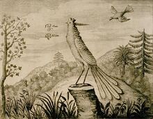 Xiangshe historical drawing.jpg