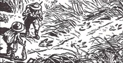 The picture drawn by Fawcett's son, portraying a beast's footprints.