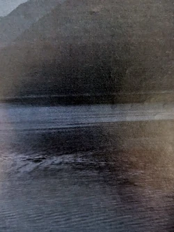 Photo said to show Mossie