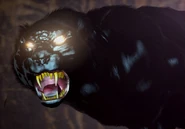 Image-1422915090.jpg (37 KB) Wampus Death Glare