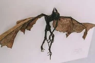 Lesser Demon #2 (257×364mm) Found in Praha, Czecho in 2000.