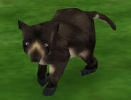 As it appears in Zoo tycoon 2