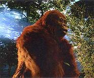 A Gigantopithecus model from Walking With Cavemen