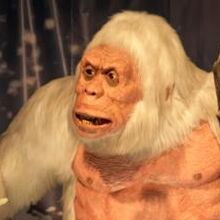 Yeti Cryptid Wiki Fandom