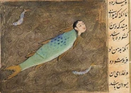 Nasnas-fish.png (781 KB)