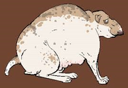 Fatdog.png