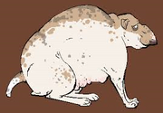 Fatdog