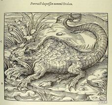 Mythology-or-Fantasy-Poisson-nomme-Orobon.jpg