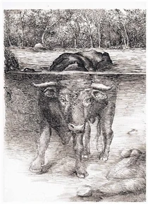 Chime by Carolina Hidaldo Salas.