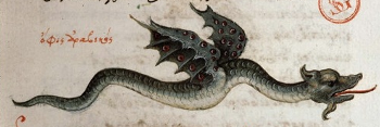 Arabian flying snakes.png