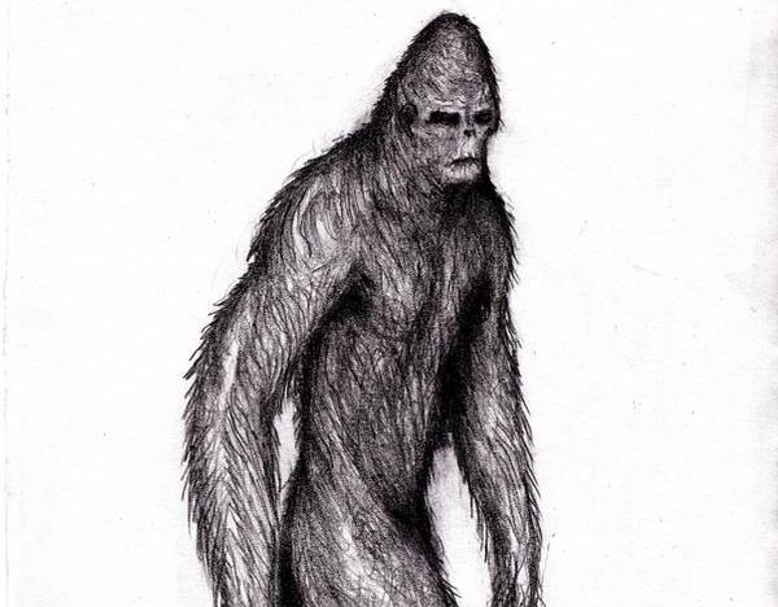 絵画 BIGFOOT Bigfoot Watercolor Canvas / Bigfoot Painting - Bigfoot Art