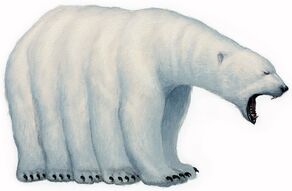 Kokogiak