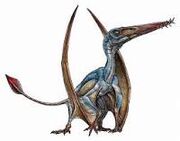 Pterosaur.jpg
