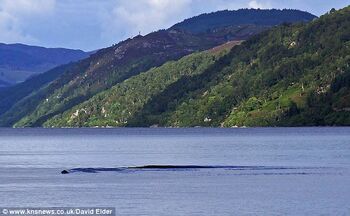 Mokele-mbembe: Congo's version of the Loch Ness Monster? - BBC News