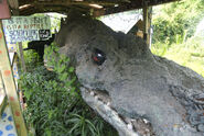 Another Bassigator...a giant one!