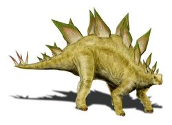 Stegosaurus stenops NT flipped